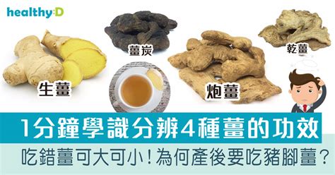 薑的功效與藥理作用|薑 ：功效原理、潛在副作用與建議劑量